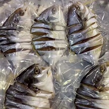 咸魚-咸魚批發、促銷價格、產地貨源 